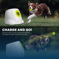 All For Paws Hyper Fetch Automatic Dog Ball Launcher