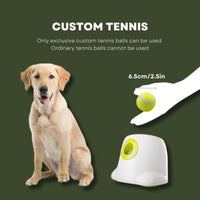 All For Paws Hyper Fetch Automatic Dog Ball Launcher