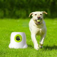 All For Paws Hyper Fetch Automatic Dog Ball Launcher