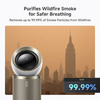 https://cdn.shopify.com/s/files/1/0553/1320/3405/files/95f1dbf47d147542ed656bb93c10d76f.jpg?v=1753771441